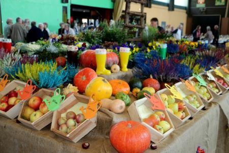 Retour sur la fête de la pomme